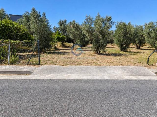 Terreno in vendita a Roccelletta, Borgia