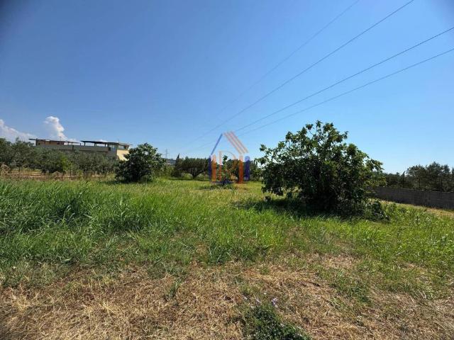 Terreno in vendita a Calabria, Catanzaro