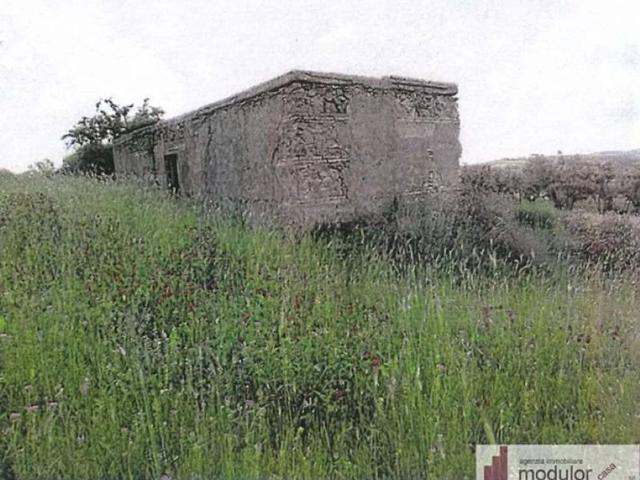 Terreno in vendita a Calabria, Catanzaro