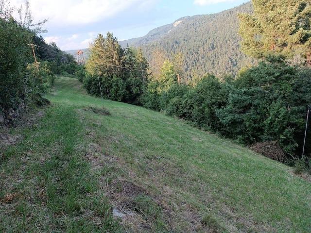 Terreno in vendita a Comunità della Val di Non, Castelfondo