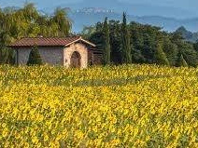 Terreno in vendita a Borgo San Lorenzo, Toscana