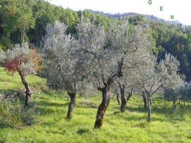 Terreno in vendita a Borgo San Lorenzo, Toscana