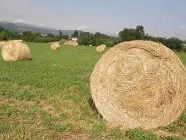 Terreno in vendita a Borgo San Lorenzo, Toscana