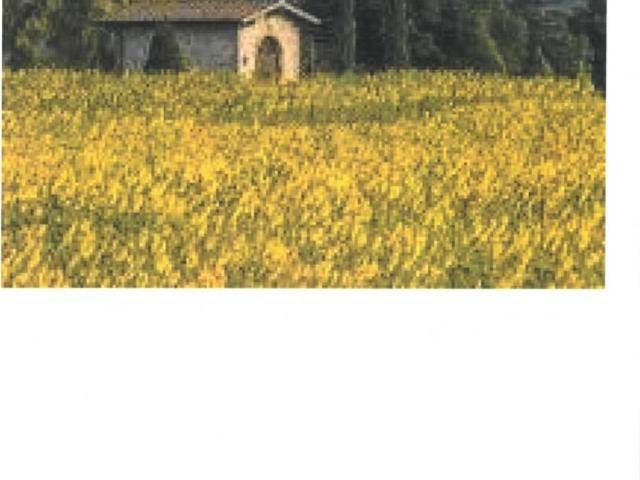 Terreno in vendita a Borgo San Lorenzo, Toscana