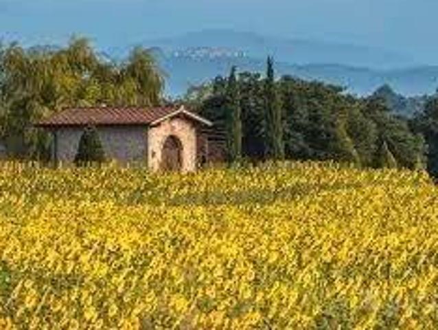 Terreno in vendita a Olmi, Borgo San Lorenzo