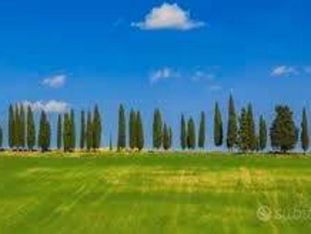 Terreno in vendita a Borgo San Lorenzo, Toscana