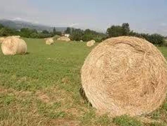 Terreno in vendita a Borgo San Lorenzo, Toscana