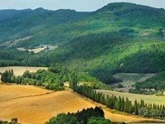Terreno in vendita a Borgo San Lorenzo, Toscana