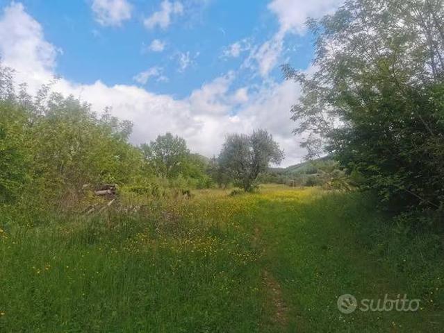 Terreno in vendita a Borgo San Lorenzo, Toscana