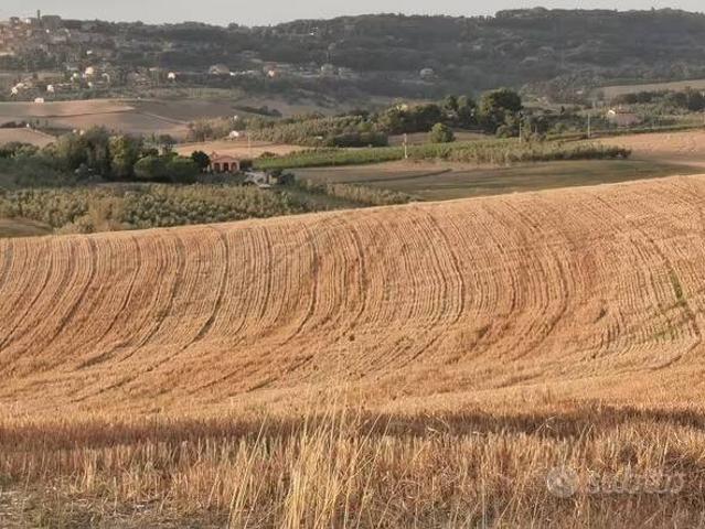 Terreno in vendita a Borgo San Lorenzo, Toscana