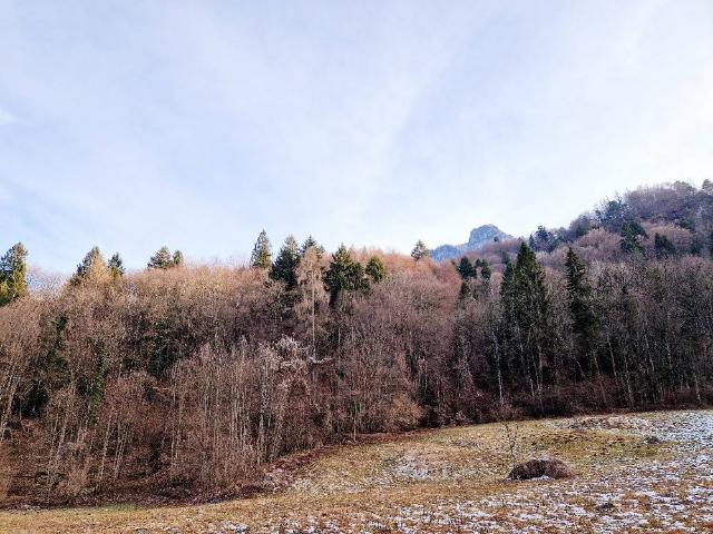 Terreno in vendita a Comunità Valsugana e Tesino, Borgo Valsugana