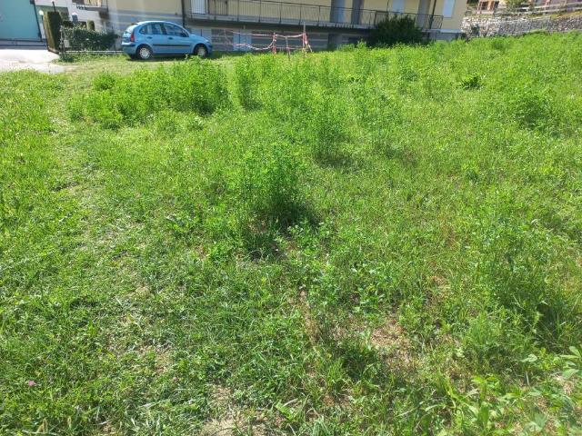 Terreno in vendita a Comunità Valsugana e Tesino, Borgo Valsugana
