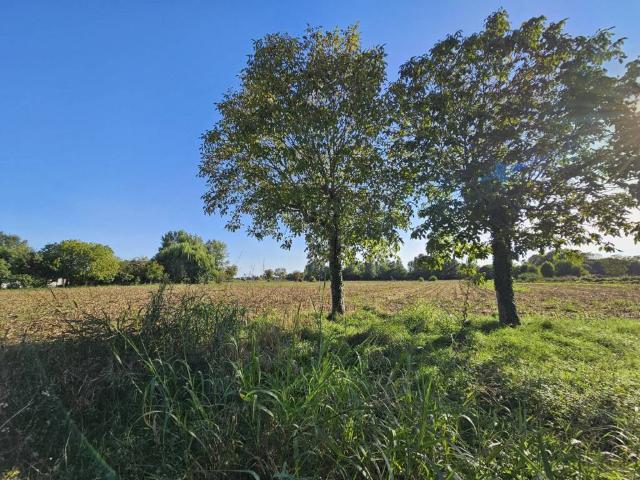 Terreno in vendita a Borgo Veneto, Saletto