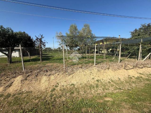 Terreno in vendita a Sant'Eufemia, Borgoricco
