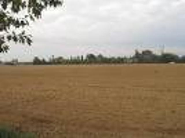 Terreno in vendita a San Michele delle Badesse, Borgoricco