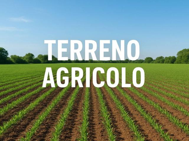 Terreno in vendita a Pieve del Grappa, Borso Del Grappa