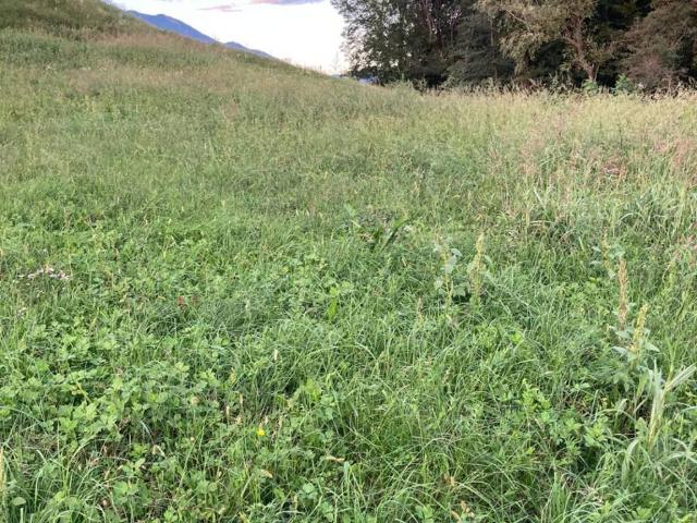 Terreno in vendita a Pieve del Grappa, Borso Del Grappa