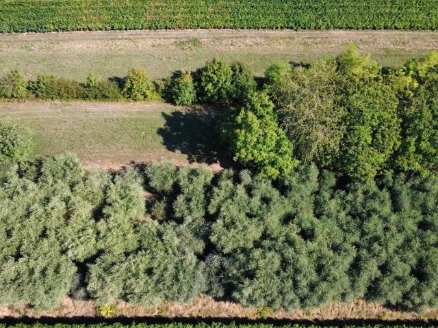 Terreno in vendita a Pieve del Grappa, Borso Del Grappa
