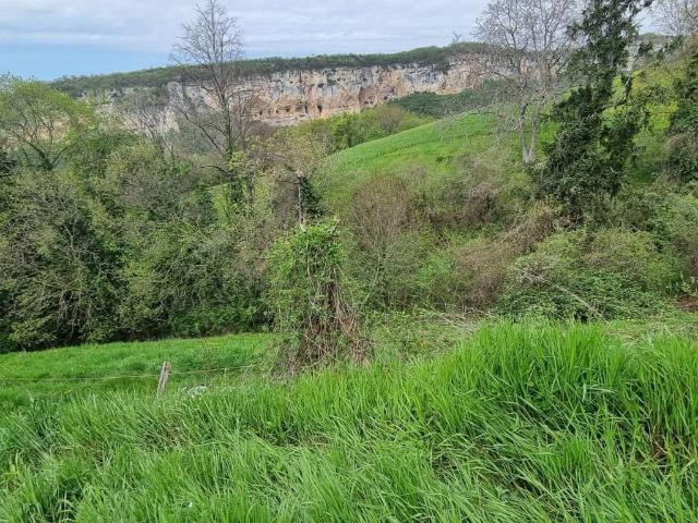 Terreno in vendita a Lughezzano, Bosco Chiesanuova