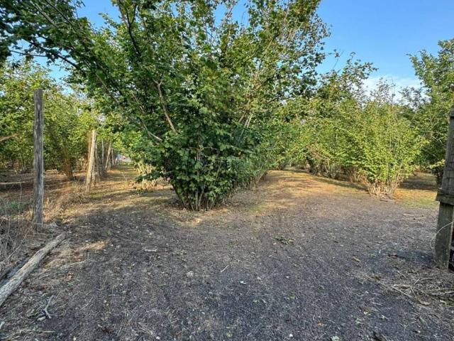 Terreno in vendita a Boscoreale, Campania