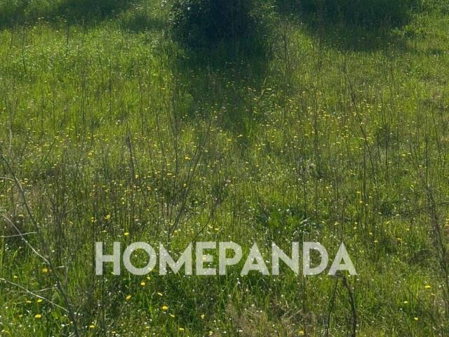 Terreno in vendita a Boscoreale, Campania