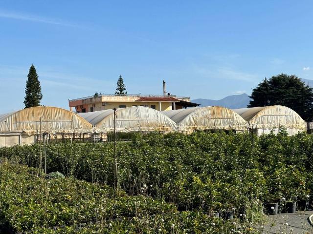 Terreno in vendita a Boscotrecase, Campania