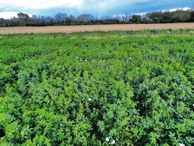 Terreno in vendita a Bottanuco, Lombardia