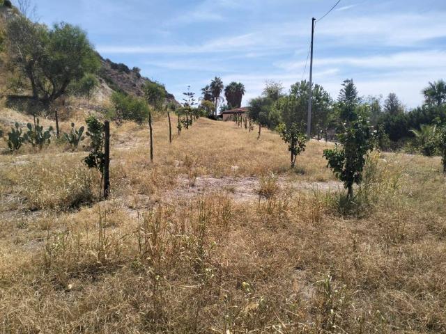Terreno in vendita a Calabria, Reggio Calabria