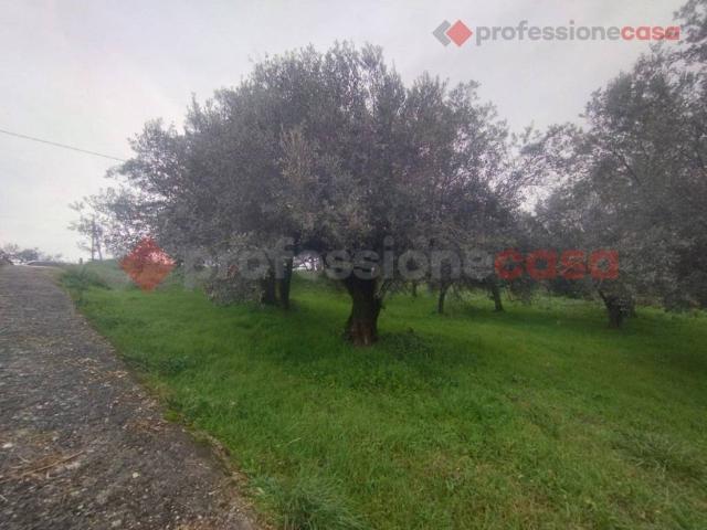 Terreno in vendita a Boville Ernica, Lazio