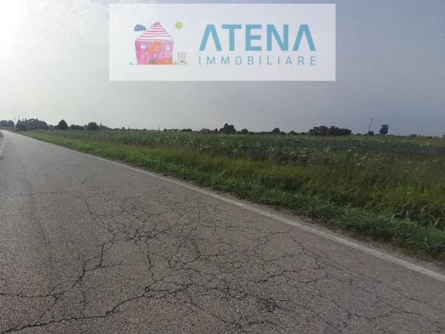 Terreno in vendita a Bovolenta, Veneto