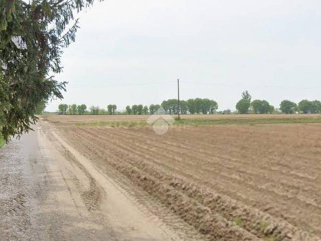 Terreno in vendita a Bovolone, Veneto