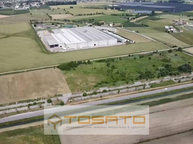 Terreno in vendita a Bovolone, Veneto
