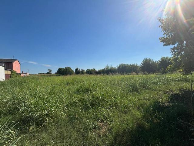 Terreno in vendita a Bovolone, Veneto