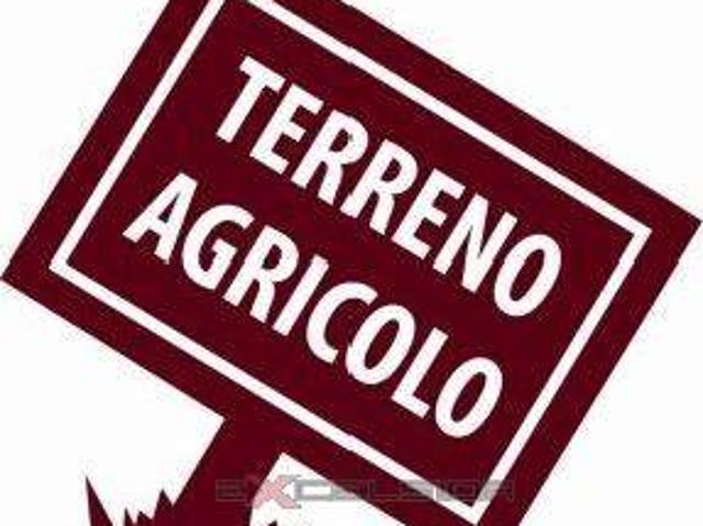 Terreno in vendita a Bovolone, Veneto