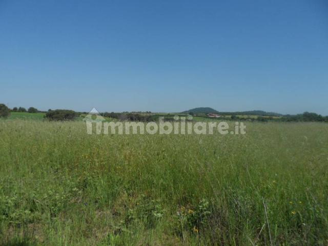 Terreno in vendita a Roma Capitale, Lazio
