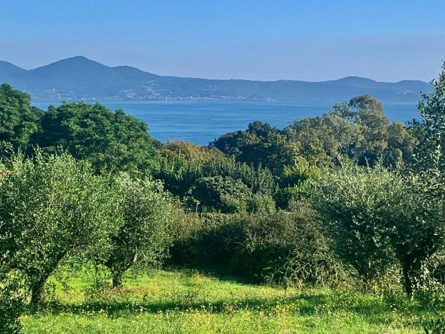 Terreno in vendita a Roma Capitale, Lazio