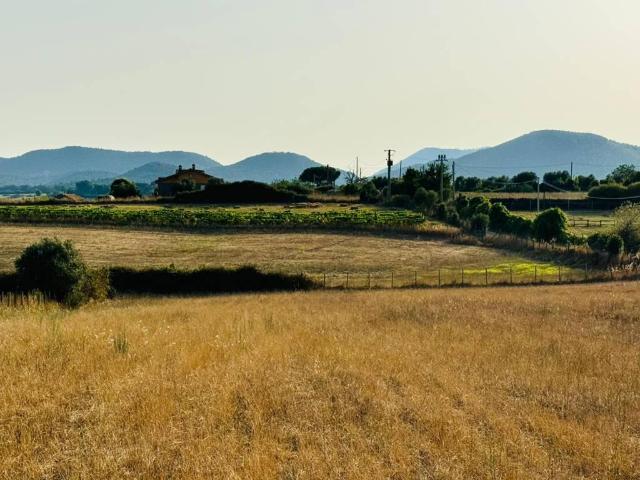 Terreno in vendita a Roma Capitale, Lazio