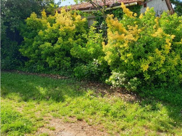 Terreno in vendita a Roma Capitale, Lazio
