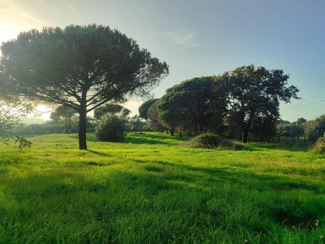 Terreno in vendita a Roma Capitale, Lazio