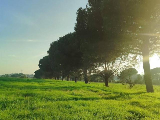 Terreno in vendita a Roma Capitale, Lazio