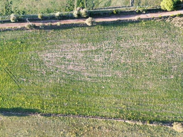 Terreno in vendita a Roma Capitale, Lazio