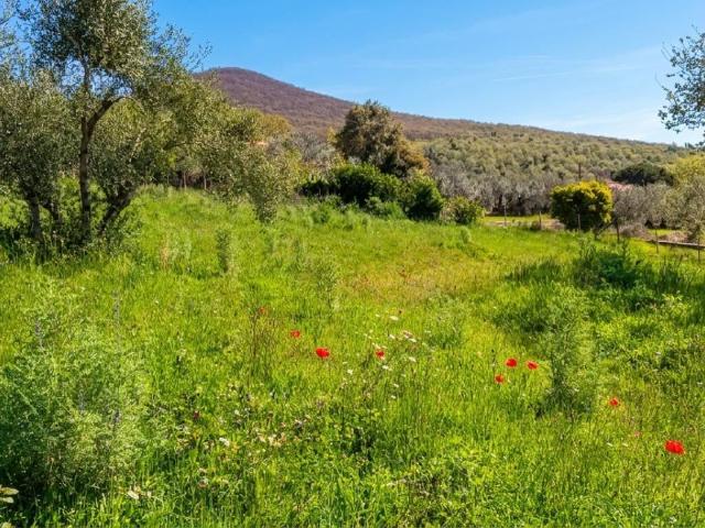 Terreno in vendita a Vicarello, Roma Capitale
