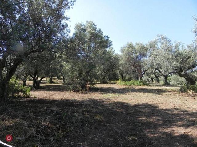 Terreno in vendita a Roma Capitale, Lazio
