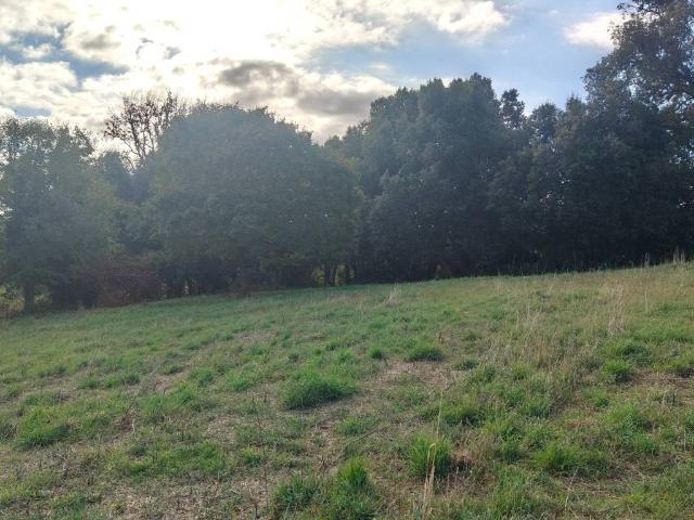 Terreno in vendita a Bracciano, Roma Capitale