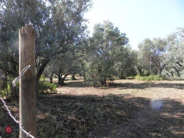 Terreno in vendita a Roma Capitale, Lazio