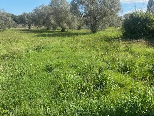 Terreno in vendita a Roma Capitale, Lazio