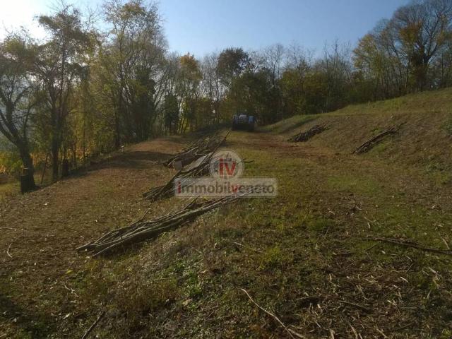 Terreno in vendita a Brendola, Veneto