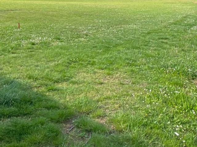 Terreno in vendita a Brendola, Veneto