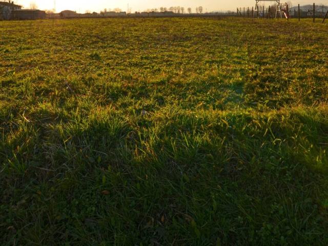 Terreno in vendita a Brendola, Veneto