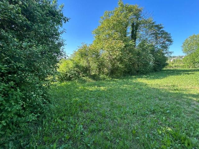 Terreno in vendita a Brendola, Veneto